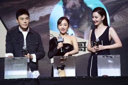 娱乐圈吃瓜合集网盘下载 吃瓜视频天堂,网盘下载吃瓜视频天堂大汇总